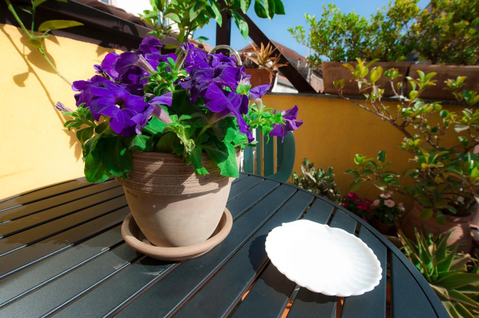 La Scala Bianca Apartment