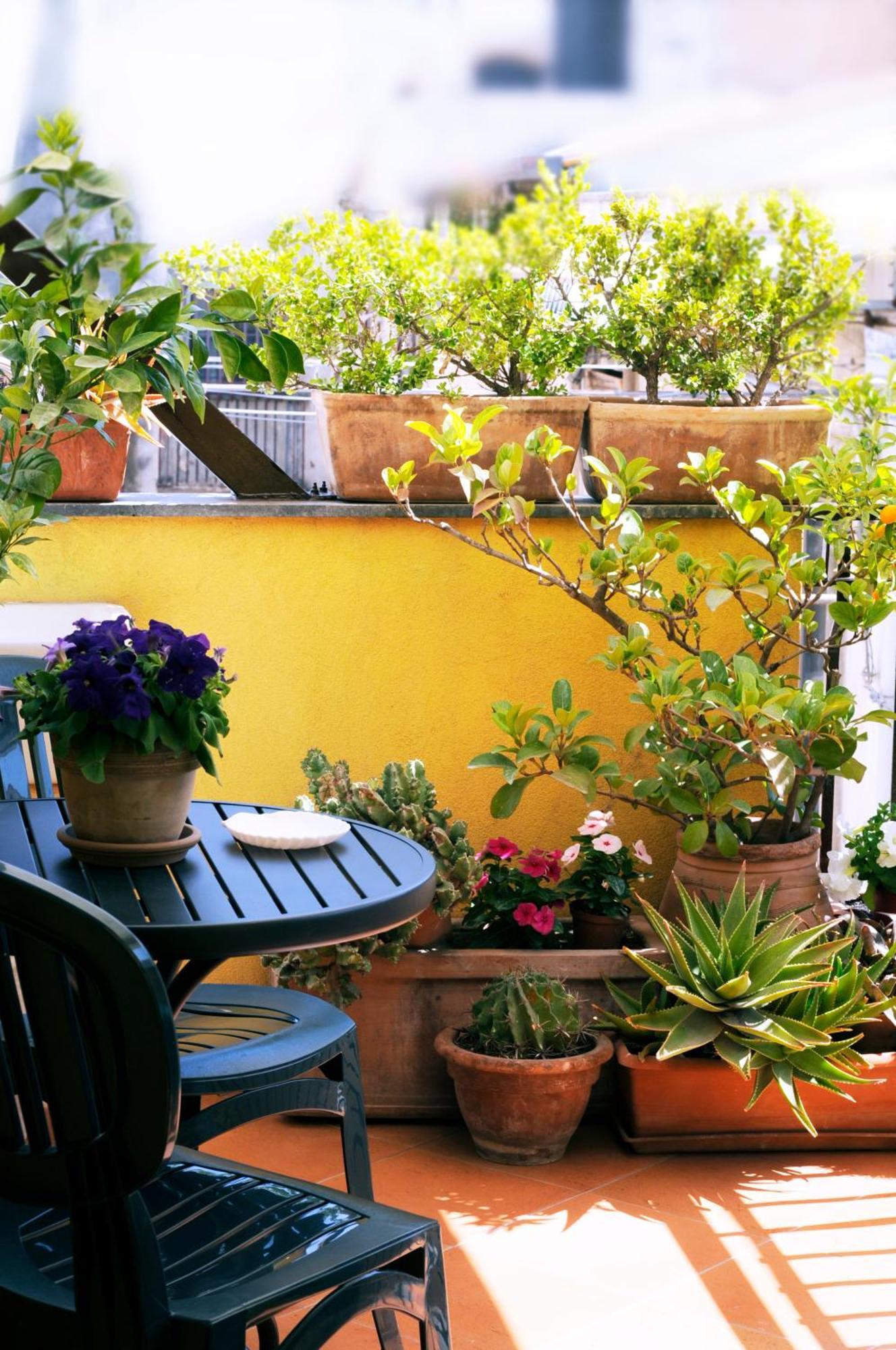 Apartment La Scala Bianca